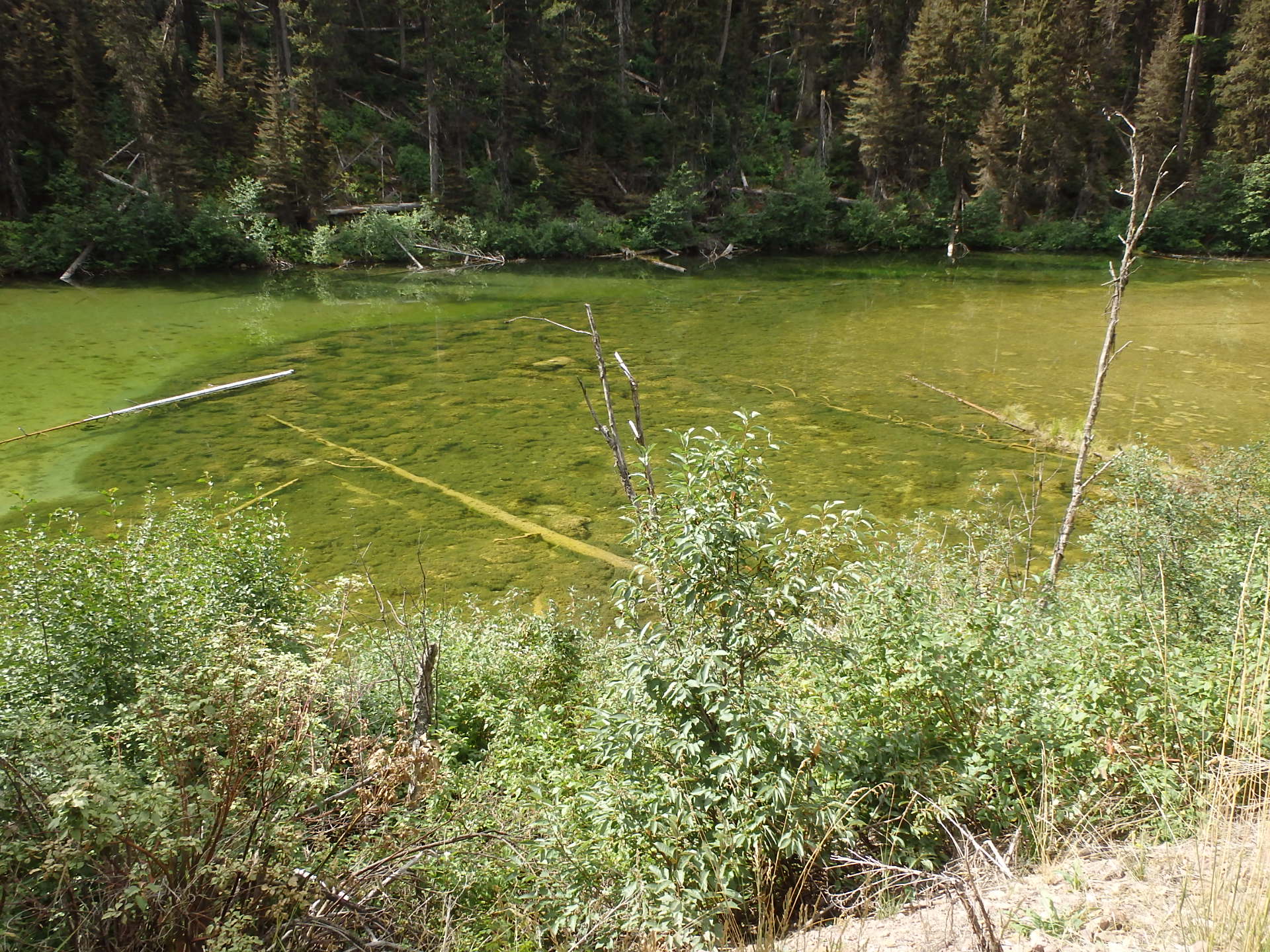 GDMBR: One of the Cottonwood Lakes, Montana.